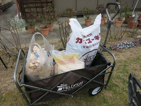 地植えバラに寒肥あげました ミセスケイの薔薇コラム