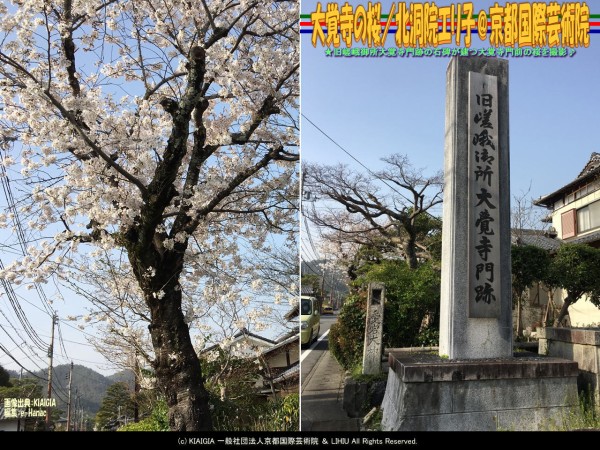 大覚寺の桜 北洞院エリ子 京都国際芸術院 花前のブログ By Hanasaki Karen