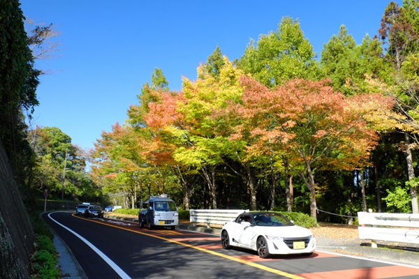 11 5 清川 愛川 宮ケ瀬湖 紅葉状況 色づき始め 花ぽたカメラ