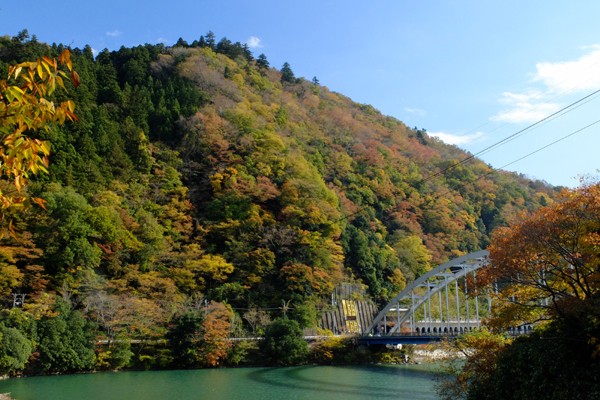 11 16 相模原 相模湖 紅葉状況 見ごろ 花ぽたカメラ