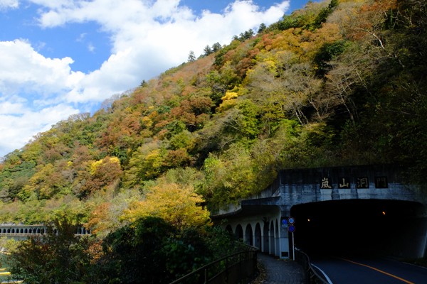 11 16 相模原 相模湖 紅葉状況 見ごろ 花ぽたカメラ