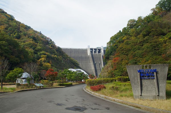 11 17 清川 愛川 宮ケ瀬湖 紅葉状況 見ごろ 花ぽたカメラ 11 17 清川 愛川 宮ケ瀬湖 紅葉状況 見ごろ 花ぽたカメラ