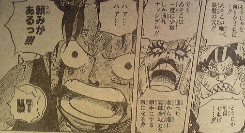 One Piece 第565話 オーズの道 天花繚乱