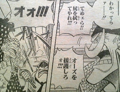 One Piece 第555話 オーズと笠 天花繚乱