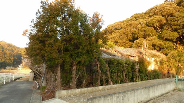 ｆ医院 その１ 残照記