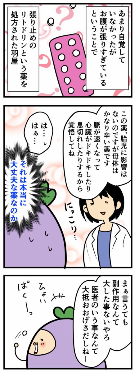 妊娠レポ 張り止めの薬 副作用ヤバすぎ問題 はね屋の日記