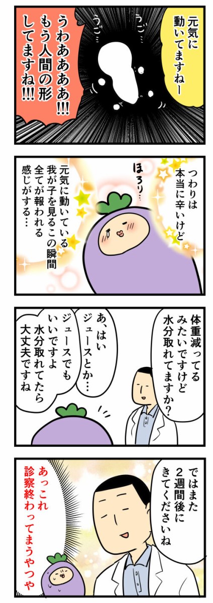 妊婦生活レポ 12週検診に行ってきた話 はね屋の日記
