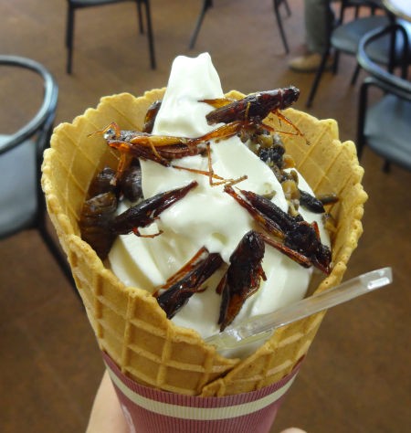 長野で大量に虫がのってるソフトクリームを食べた はね屋の日記