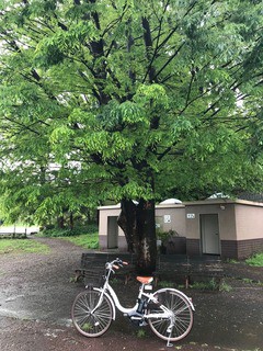 晴れた日はシェアサイクルで版画美術館に行こう！ : 芹ヶ谷だより