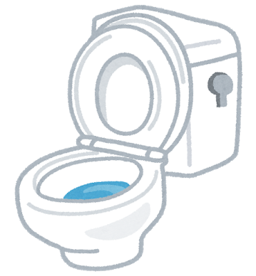 初夏のハノイ この暑さで トイレの流れがスムーズになりました O ハノイでまったり生きてます Fwf