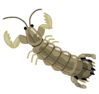 祝 友人に 第二子誕生 幼名は 蝦蛄 シャコ 君だそうです O ハノイでまったり生きてます Fwf 祝 友人に 第二子誕生 幼名は 蝦蛄 シャコ 君だそうです O ハノイでまったり生きてます Fwf