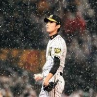 阪神の選手の壁紙ハラディ タイガースやねん