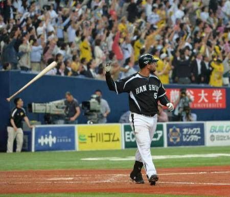 阪神の選手の壁紙ハラディ タイガースやねん