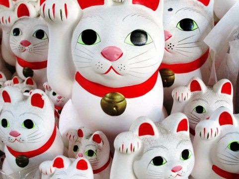 開運 金運を招く招き猫 開運で幸せな生活したい