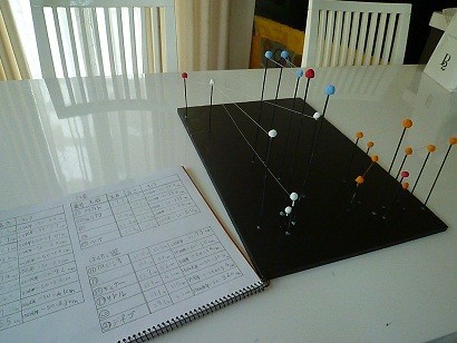 夏休み 自由研究 パピヨンライフ ティアラのバラ色ｄｉａｒｙ
