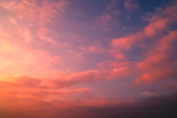 夕焼けは何故切ない 秋のメンタル変化とその理由 四つ葉のくまさんの癒しのお花 時々お料理日記