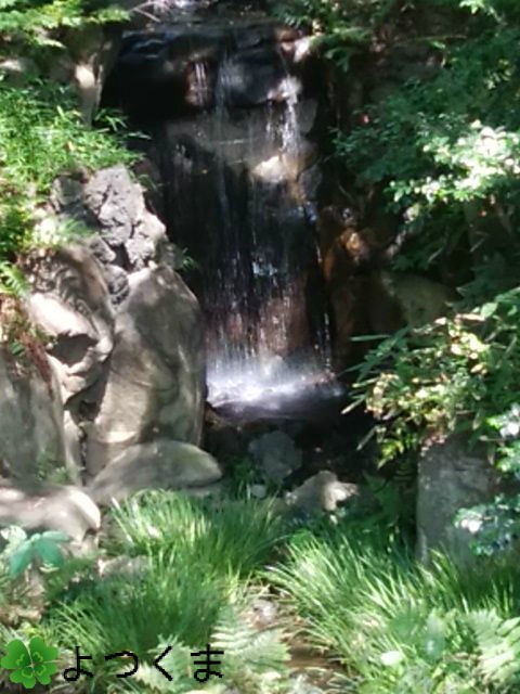 滝の水しぶきが心地よいのは何故なのか 四つ葉のくまさんの癒しのお花 時々お料理日記