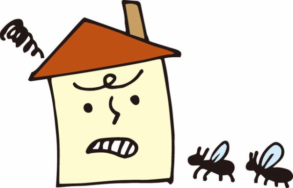 虫の多い季節 家の中に虫を入れない対策4選 Happy Living 削ぎ家事研究室 Powered By ライブドアブログ