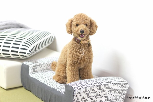 Artek の布で 犬用ソファカバーを手作り インテリアのアクセントになりました Happy Living 削ぎ家事研究室 Powered By ライブドアブログ