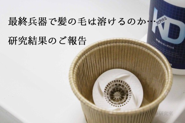 髪の毛が溶ける カビダッシュ は 本当に最終兵器なのか Happy Living 削ぎ家事研究室 Powered By ライブドアブログ 髪の毛が溶ける カビダッシュ は 本当に最終兵器なのか Happy Living 削ぎ家事研究室 Powered By ライブドアブログ