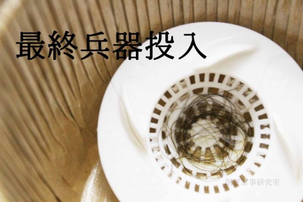 髪の毛が溶ける カビダッシュ は 本当に最終兵器なのか Happy Living 削ぎ家事研究室 Powered By ライブドアブログ