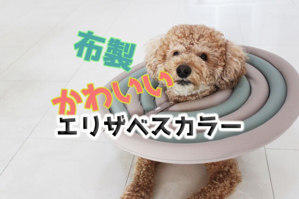 犬猫用おすすめの エリザベスカラー 布製でデザインもかわいい Happy Living 削ぎ家事研究室 Powered By ライブドアブログ