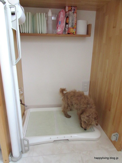 犬のトイレ事情 Happy Living 削ぎ家事研究室 Powered By ライブドアブログ