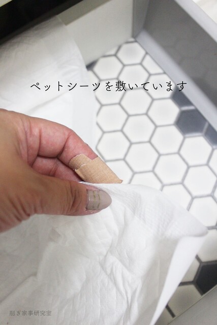 クッションフロア オマケ付き 最後になりました。 - bookteen.net