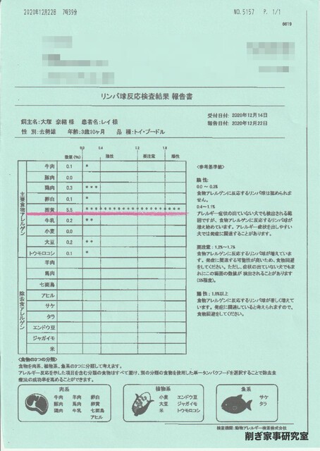 犬のアレルギー Ige検査 では陰性だったのに リンパ球検査 ではガッツリ陽性だった件 Happy Living 削ぎ家事研究室 Powered By ライブドアブログ