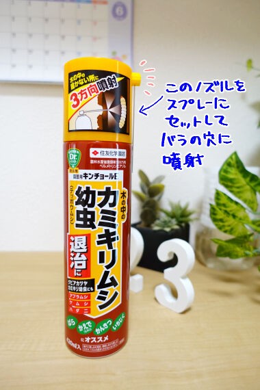 バラの天敵ゴマダラカミキリ テッポウムシ バラの根元に木くずを発見してしまった 晴れのちもちごめ