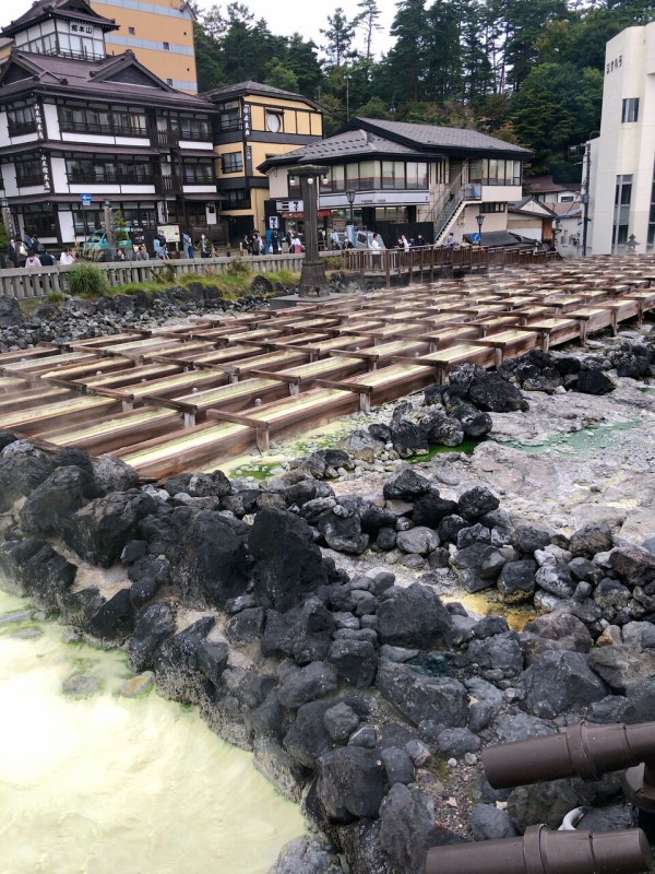 ホテルニュー紅葉 草津温泉とおおるり最高の料理 1泊2食 酒一杯5800円 珍安温泉ホテル