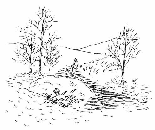 エッセイスト沢野ひとしさん : 森への想い