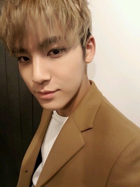 SEVENTEEN ラキドロ ユニバ ヒポチ エスクプス ウォヌミンギュバーノン SEVENTEEN セブチ エスクプス ウォヌ ミンギュ バーノン トレカ