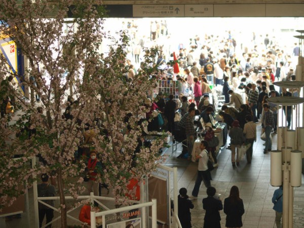 アートクラフト市２０１１春の市 茶飲み暮らし 和と自然の風景写真ブログ