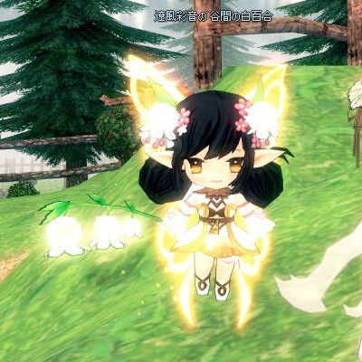 妖精フローラがかわいい 彩姉のティルコ観察日記