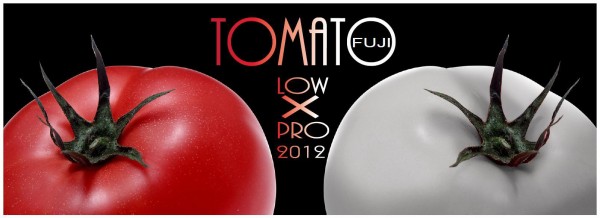 FUJI x TOMATO Low Pro Ver.2 橋輪に展示中 : 橋輪