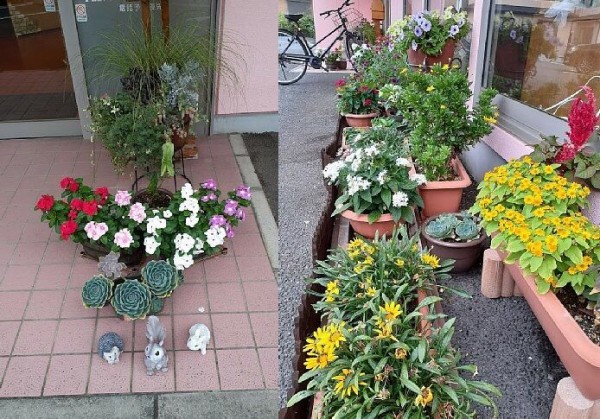 ぶらり花散歩 美容室のお花たち 日々草とペンタスとガザニアとコリウスと 花のある暮らし