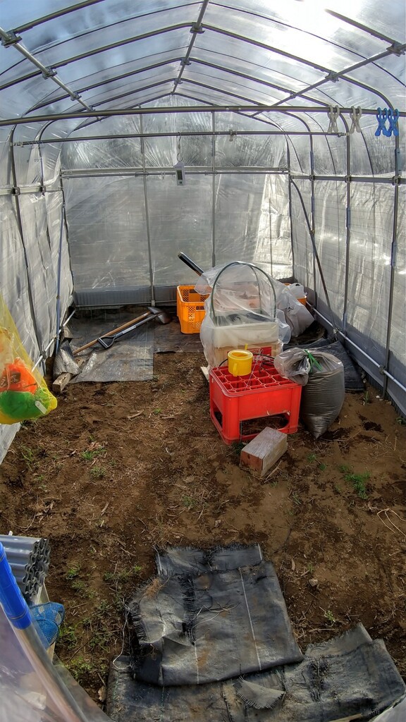 家庭菜園ビニール温室（コメリの豊作ベジハウス）完成 : スーの家の