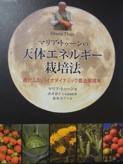 種まきカレンダー 実の日 葉の日 根の日 花の日 スーの家の自然栽培的オーガニック家庭菜園12ヶ月