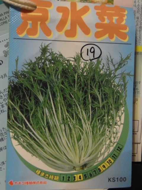 水菜 京菜 栽培 スーの家の自然栽培で家庭菜園12ヶ月