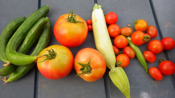 トマトの枝落とし 葉面散布 水やり スーの家の自然栽培で家庭菜園12ヶ月