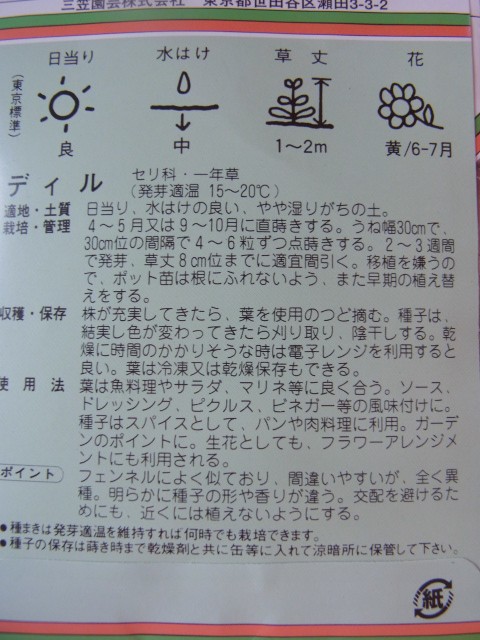 ディル イノイド パクチー ローリエ スーの家の自然栽培で家庭菜園12ヶ月