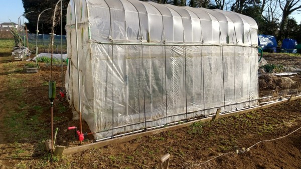 家庭菜園ビニール温室（コメリの豊作ベジハウス）完成 : スーの家の