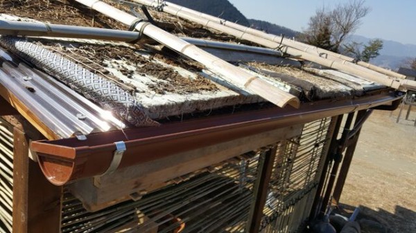 鶏小屋づくり その11 雨樋と雨水自動給水装置 自然農菜園 はたけや の作業日誌