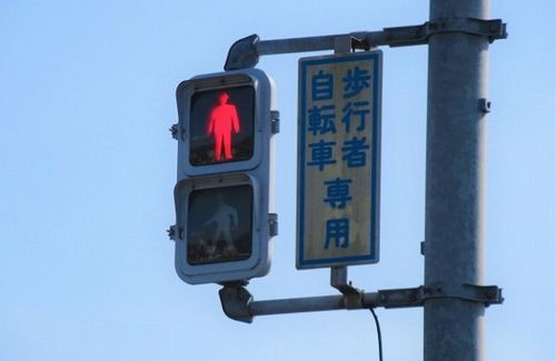 ccn_0610sg_thum800