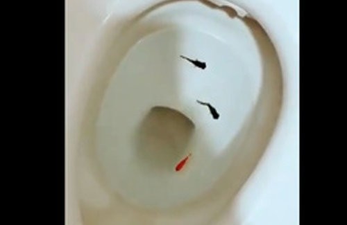 名称未設定 1