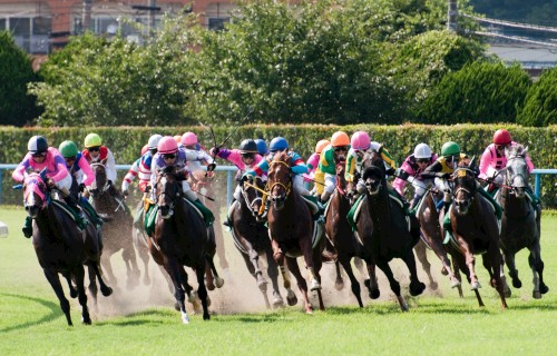 えぇ 中国人男性 競馬で得た利益18億円を申告せず上海に帰国 過去5年間で約95億円の払戻金を得ていた はちま起稿