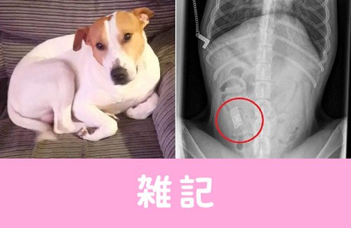 名称未設定 1