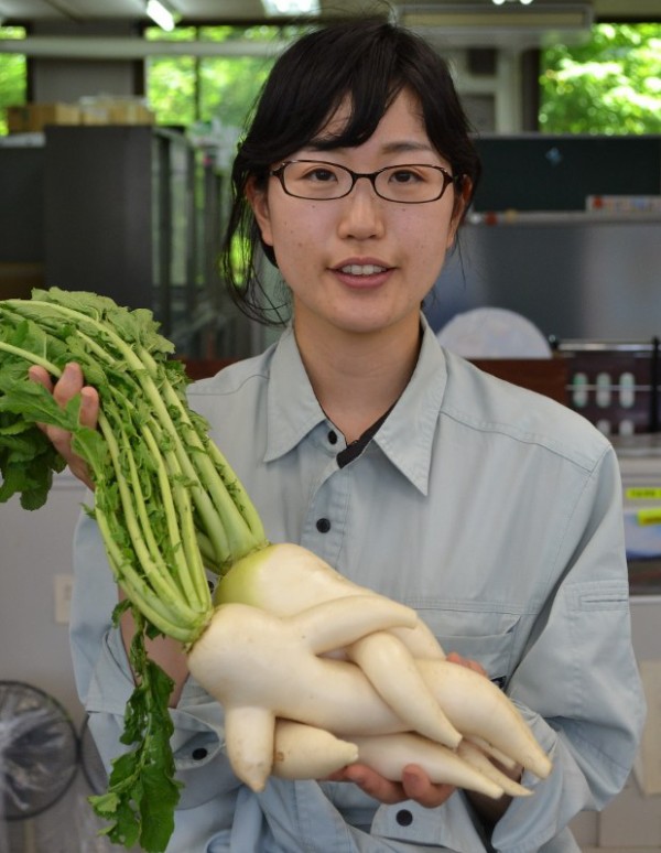 引用画像