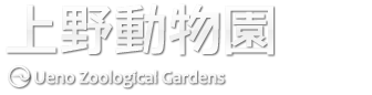 引用画像